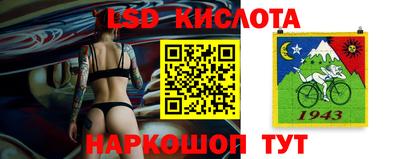 крисы Донской