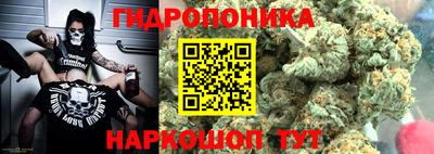 крисы Донской
