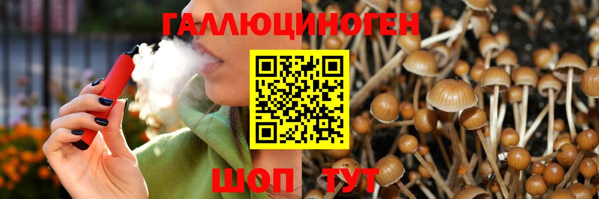 Набережные Челны  Галлюциногенные грибы мухоморы  Псилоцибиновые грибы прущие грибы  Вход с VPN 